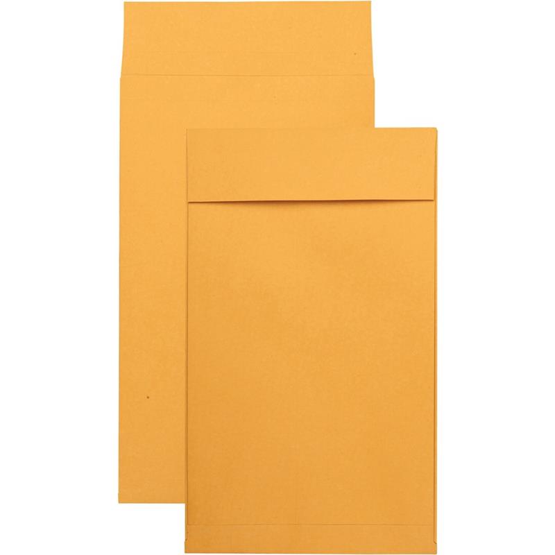 Image Enveloppe Kraft expansible Redi-Strip™
