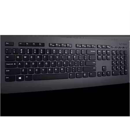 Professional Wireless Keyboard and Mouse Combo